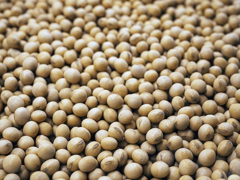 7 Health Benefits of Soybeans You Need to Know