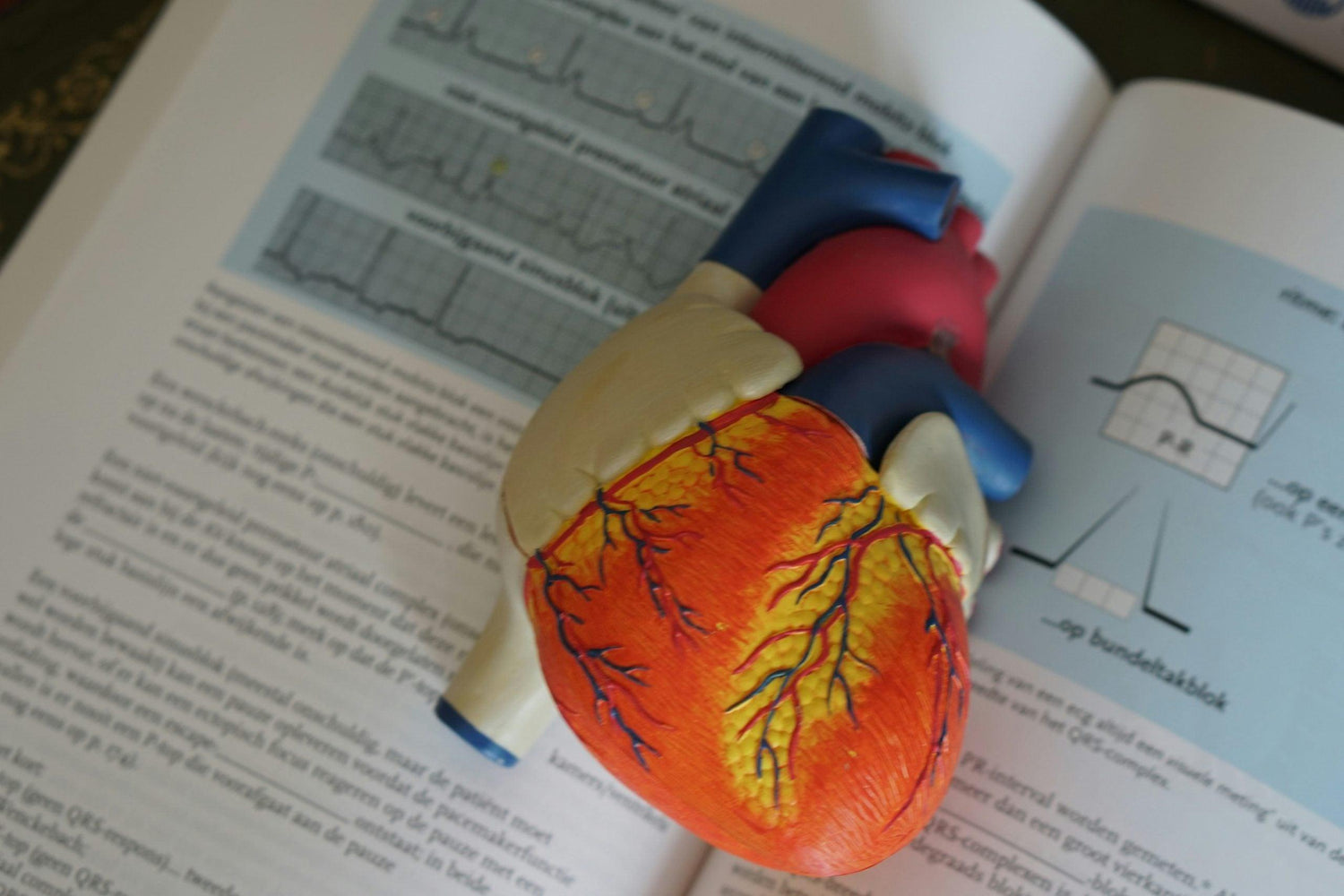 Understanding the Heart: A Guide to Congenital Heart Defects