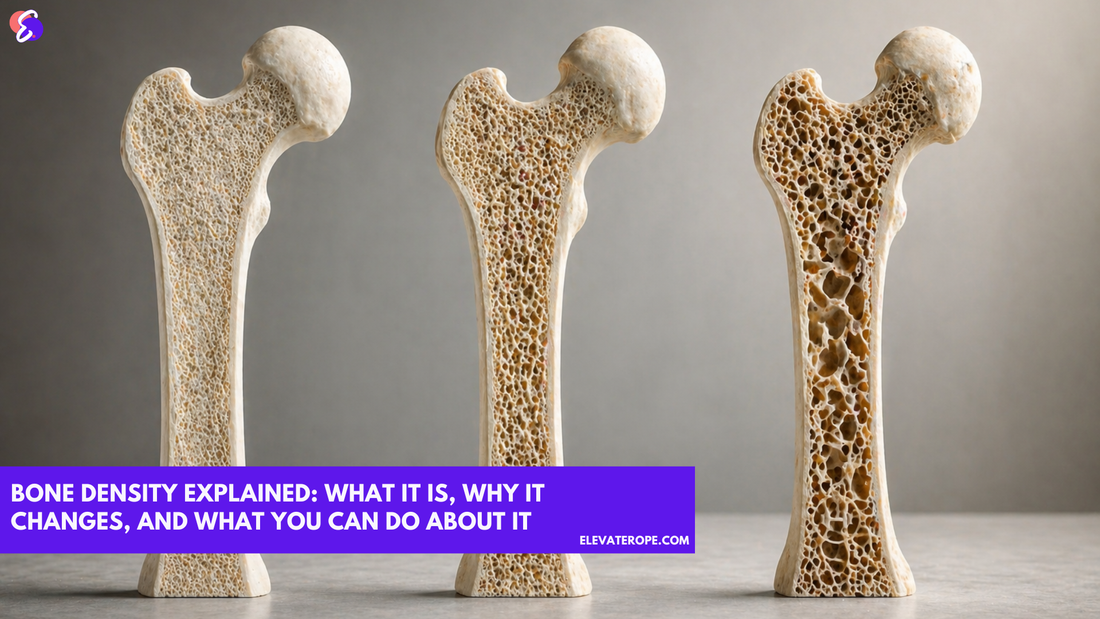 bone density scan showing healthy vs low bone density in human bones
