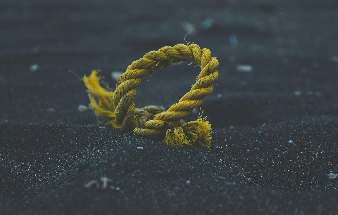 The Definitive Double Dutch Rope Guide for Effective Workouts and Best Place to Buy! - Elevate Rope