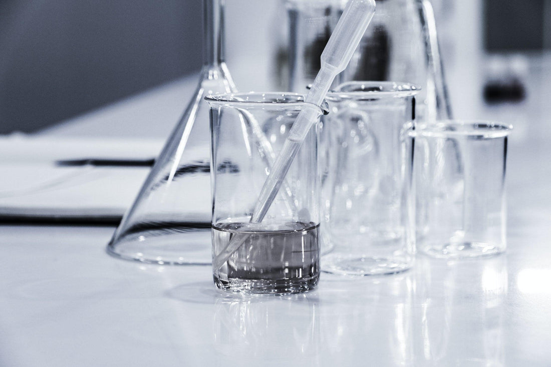 Faction Labs Disorder vs Deficit: Everything You Need to Know