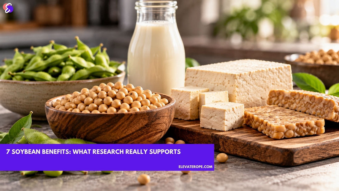 Soybeans, edamame, tofu and tempeh arranged on a table to illustrate the nutritional benefits of soy.