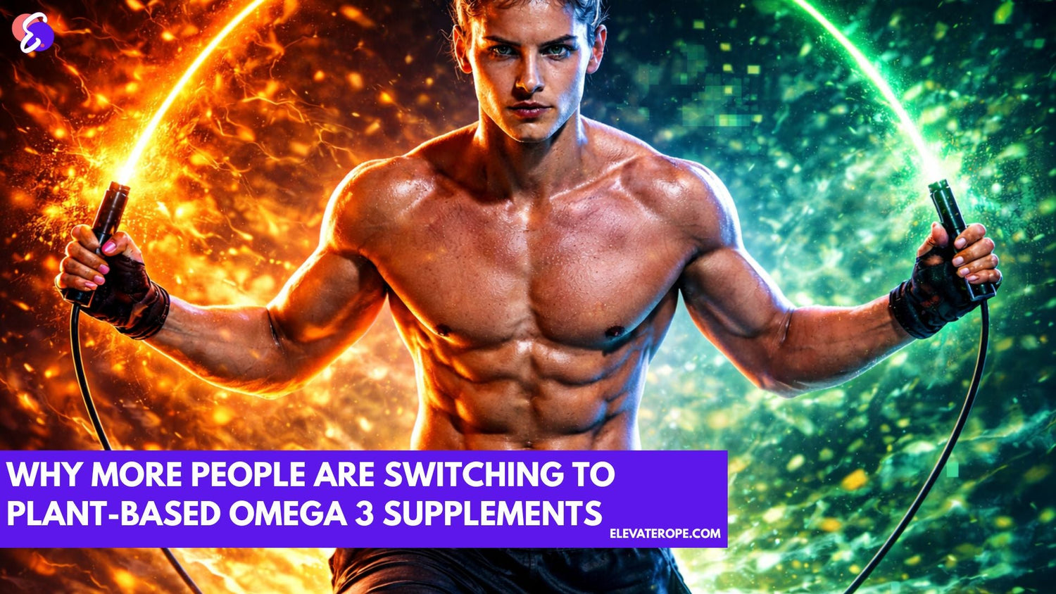 Why More People Are Switching to Plant-Based Omega 3 Supplements