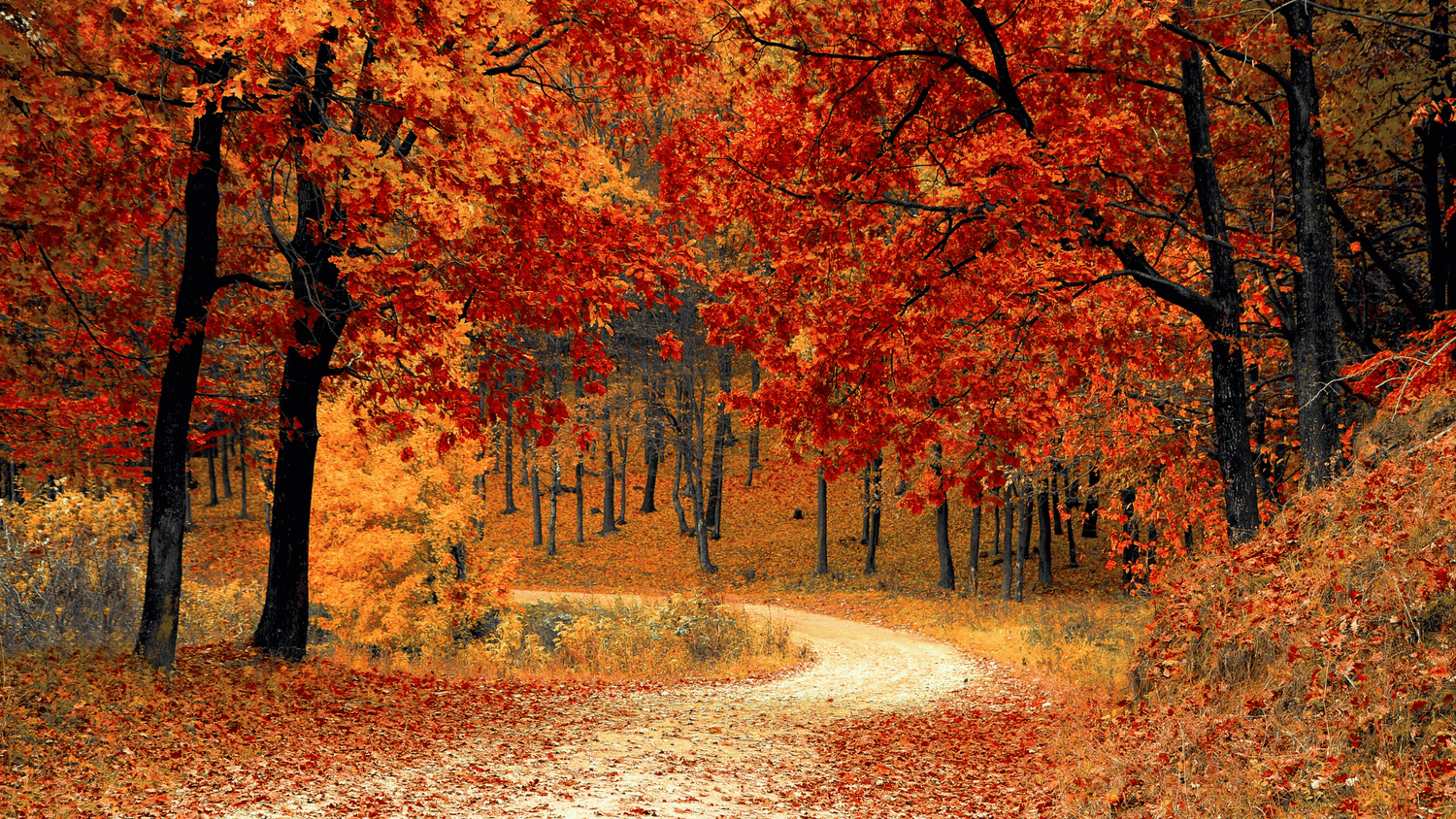 How to Build a Fall Fitness Routine in 10 Minutes a Day