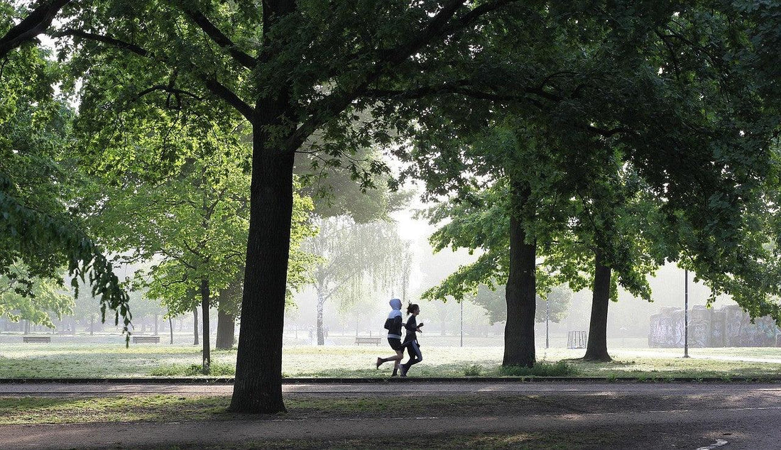 Sneaky Fitness: Top Exercises You Can Do Anywhere, Anytime