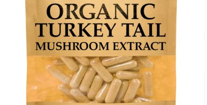 Turkey Tail Mushroom Capsules for Different Types of Users