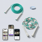 Ascent Jump Rope Starter Bundle – 2 Ropes + Band + App